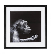 2x Quadro C-C Evidence 106 49X49
