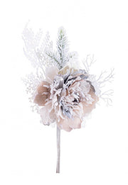 10x Pick Peonia Ginny Armonia Innevato