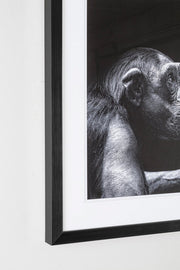 2x Quadro C-C Evidence 106 49X49