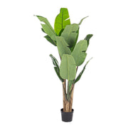 Pianta Banano decorazione casa con vaso 16 foglie 170h cm