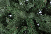 Albero Frejus H400-8819Rami