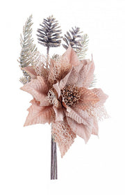 12x Pick Poinsezia Clare Marrone C