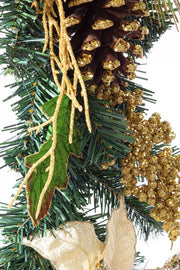 4x Boa Kyle Poinsettia Champagne H180