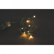 Catena 20 LED Fissi Bianco Caldo cavo Verde 3,5 metri
