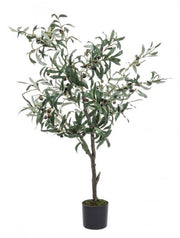 Pianta di ulivo con vaso nero 120h cm