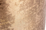 P.Vaso Varanasi Stand To Oro H42
