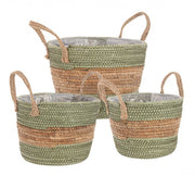 4x Set3 Cesta 2M Alyce To Verde-Naturale