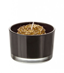 8x Candela Minimalchic C